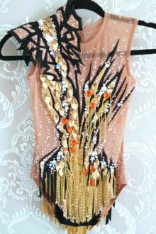 Gold/black rhythmic gymnastics leotard