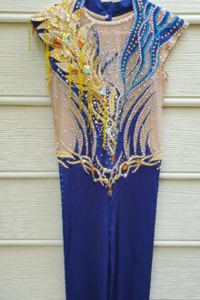 Blue/gold unitard