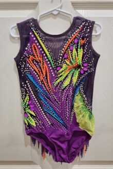 New rules, level 6-8 rhythmic gymnastics leotard