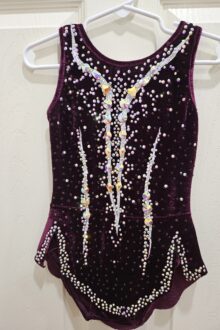 No mesh, new rules burgundy/silver rhythmic gymnastics leotard